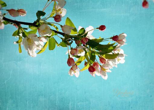 富人的四个妻子，她们分别都是谁