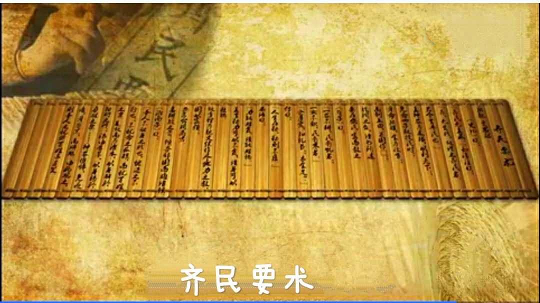 素食有益身心健康 – 中国素食文化博大精深-图片3