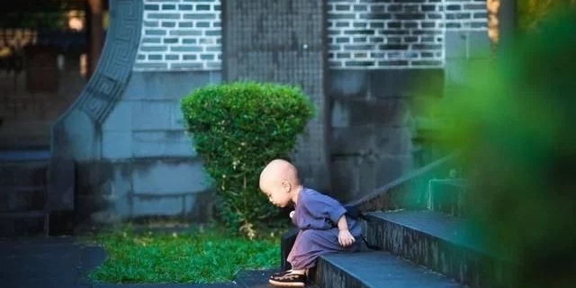 树立正知见、忍辱惭愧行、无瞋方有成