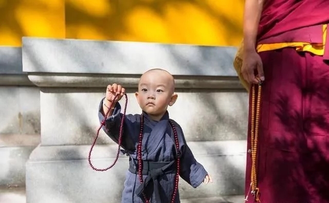 懂得因果与明信因果完全是不同的两回事-图片2