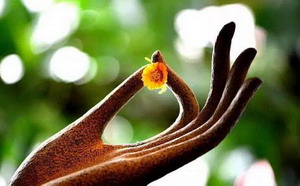 一人秉持一颗虔诚之心学佛，受益的是一家人-图片1