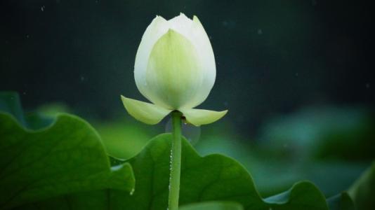 无常将是我们每个人必须面对的事情