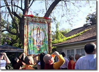 南无羌佛佛法圣迹—- 紫樱花树降甘露