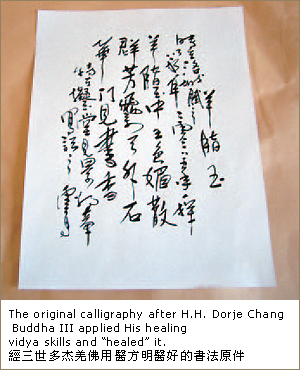 妙法在人间：工厂专家束手无策　大法王上师声到病除