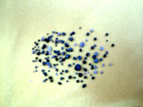 法王法驾佛土 金刚体燃烧六小时 出舍利141粒-图片2