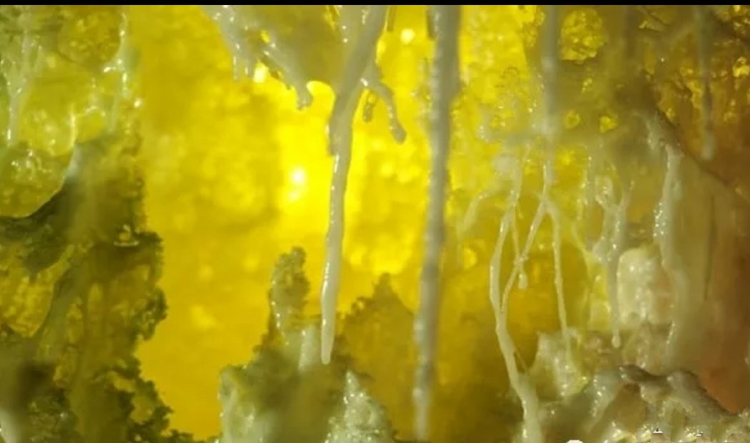 緣起大法——本文摘錄自《菩提之路》-图片2