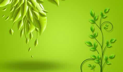 感恩南无羌佛金刚圣针治好了我的顽疾