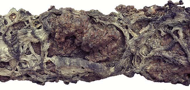 南无羌佛五明成就 工巧明-枯藤古化-图片3