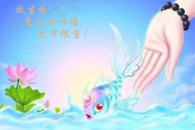 放生之善举的意义与功德有多大