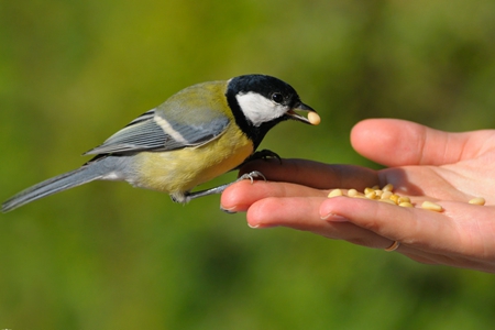 修行的方法各有不同，但是依怙、终点是相同的