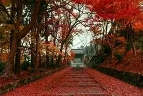 坚信今生学佛，业障消除，福慧增长，成就解脱。