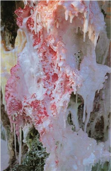 玄妙彩宝雕超越了人类艺术的高度范畴