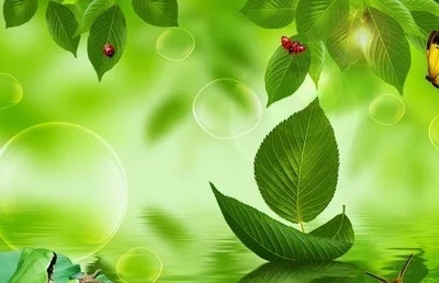 得到观世音菩萨的加持，我是天下最幸运的人