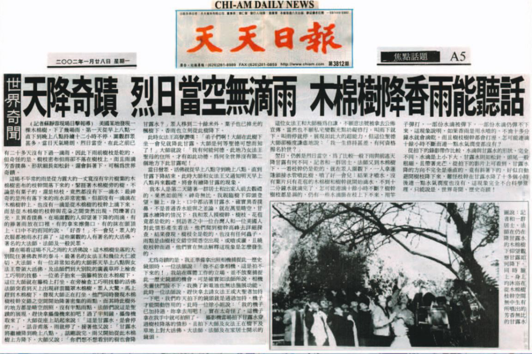 天降奇迹-日当空无滴雨 木棉树降香雨能听话