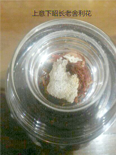 当代禅门泰斗-意昭老和尚-图片4