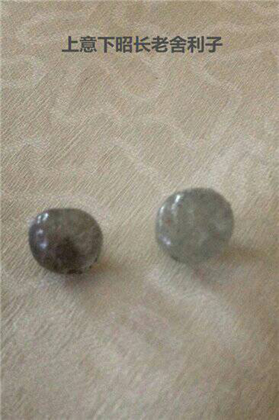 当代禅门泰斗-意昭老和尚-图片4