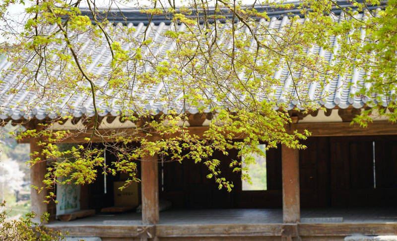 独家专访：（一）香格魁智法师：什么是佛、佛教、佛法、佛学-图片1