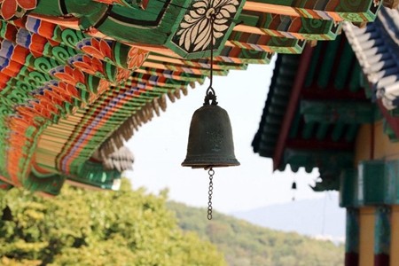 我在学佛修行的路上信心更加坚定了！