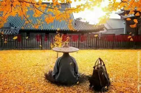 我蛮横不讲理了，我错在哪里？-图片1