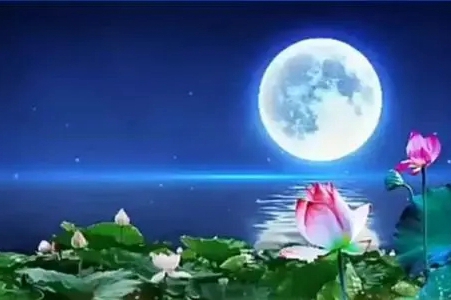 她不顾家人病苦，一门心思吃斋念经，这是放下我执吗？