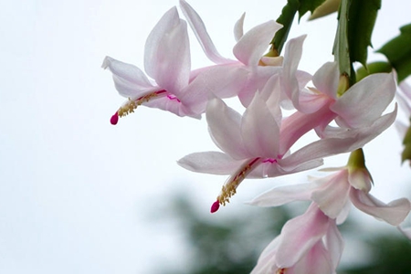 现在想起自己初学佛时的情景，历历在目，难以忘怀！-图片1