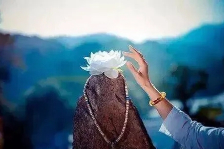 原谅那些伤害你的人，用慈悲心去祝福他们