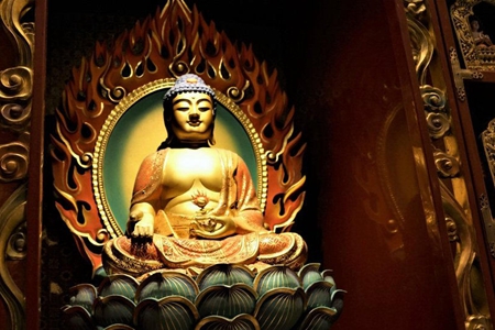 我的幸福生活不是天上掉下来的，而是用“十八般武艺”换来的-图片1