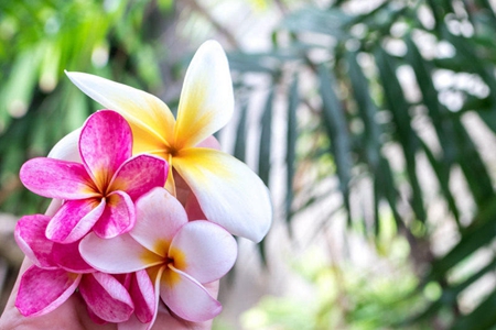 学佛修行改变了我的家人，我的生活