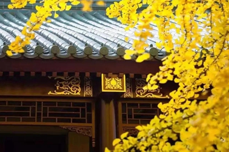 让我们虔诚发心回向吧！把所有的功德全部给众生