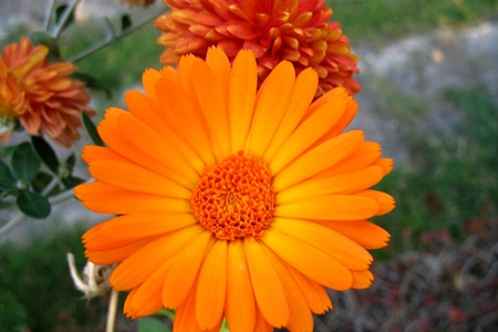 蜘蛛结网启发了我，我终于重新站起来了