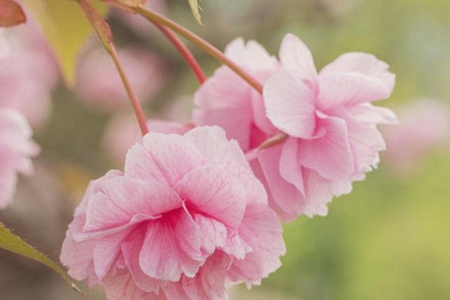 我们要真正平等慈爱慈悲一切有情众生