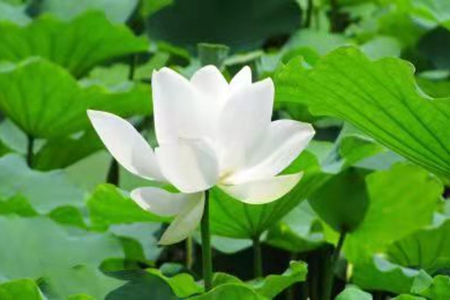 我们修行必须要落实到生活当中去