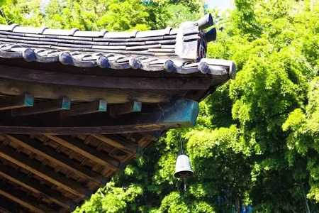 一叶菩提便是一团光亮，一份虔诚就是一盏明灯