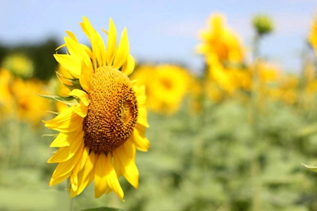 要依照佛陀的教戒修正自己的行为