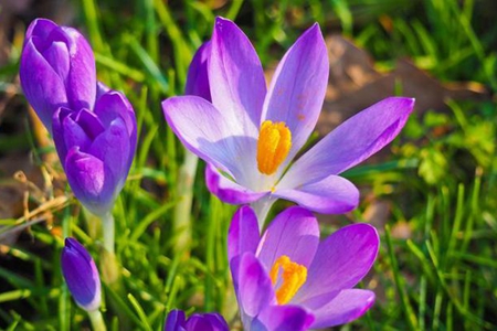 此刻我领悟到“修行从于细节上”的妙趣