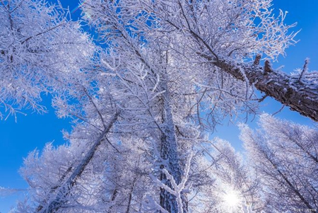 我们有按法音法理去融入生活了吗？