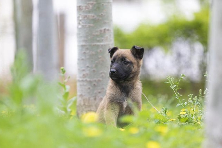 好好学佛修行，早日脱离轮回之苦