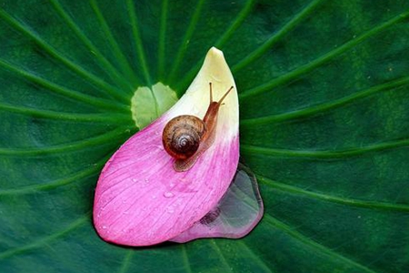 从当下做起诸恶莫作众善奉行，修正自己利益他人