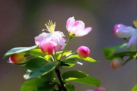 修行学佛要依法不依人，要有正知正见