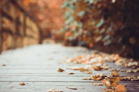 顶圣如来南无羌佛说法《行持基本德行》