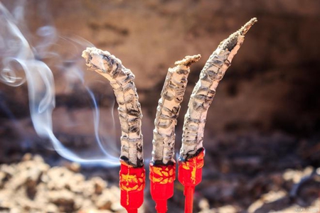 种下出世间之因，结得福慧圆满之果！