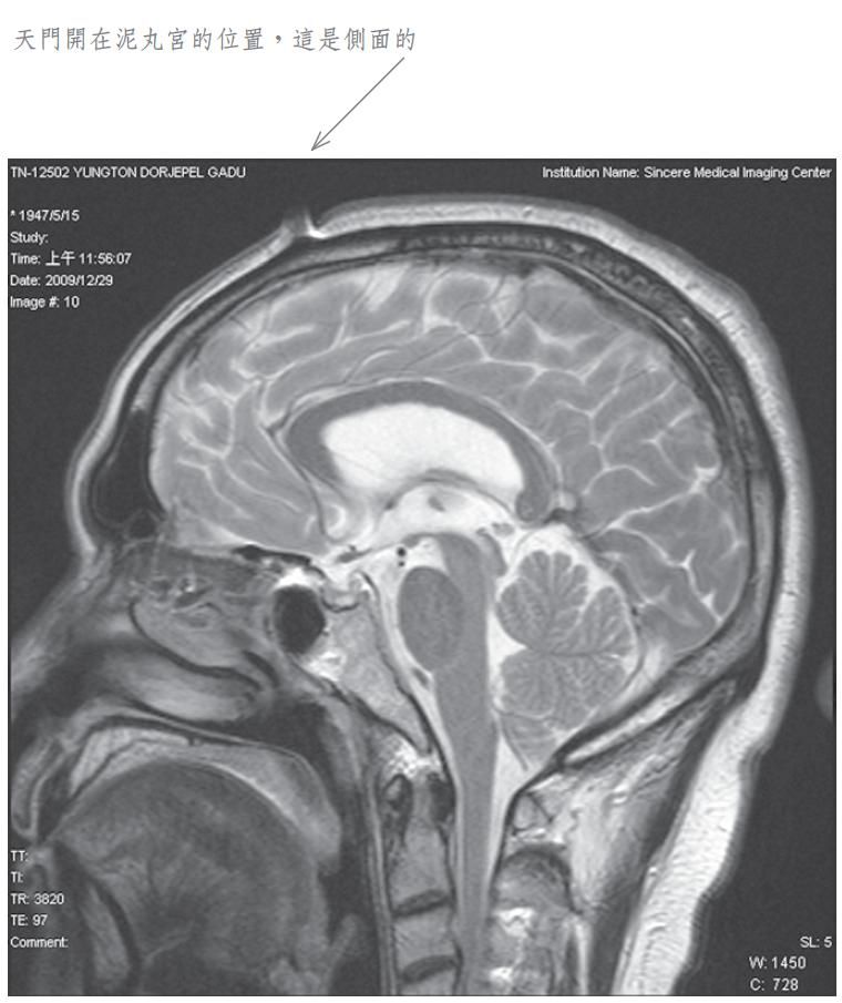 泥丸道果开顶 嘎堵仁波且 成就化身境