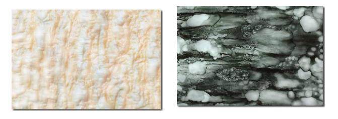 历史上创造成果最多的仁者首创十六个与众不同的画派-图片1