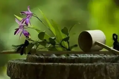 精进修行学佛，相信都能到达幸福解脱的彼岸！