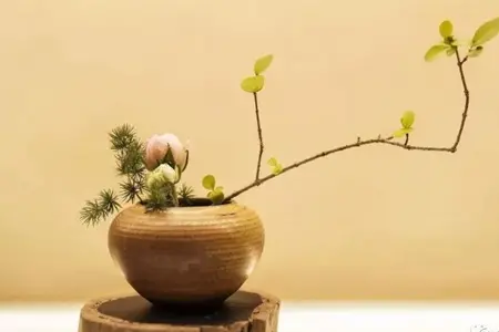 祈愿大家都过一个有意义的春节