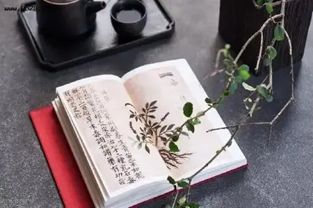 无论凡圣都应该发菩提心，都应慈悲助益他人