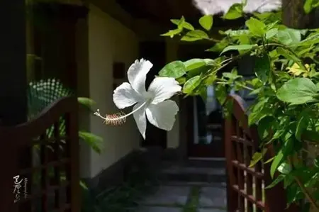 三业相应，排除业力，坚定地朝着既定的目标前进！