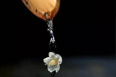 利益有情，精进修行才能谈得上脱离轮回