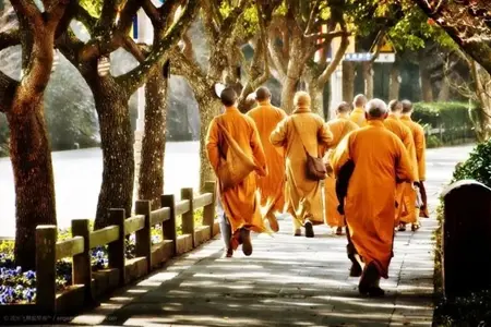 众生都在因果网络中生存，谁也逃不了因果的规律