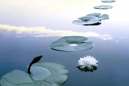 我找到了提升自我、走向光明的人生之路。